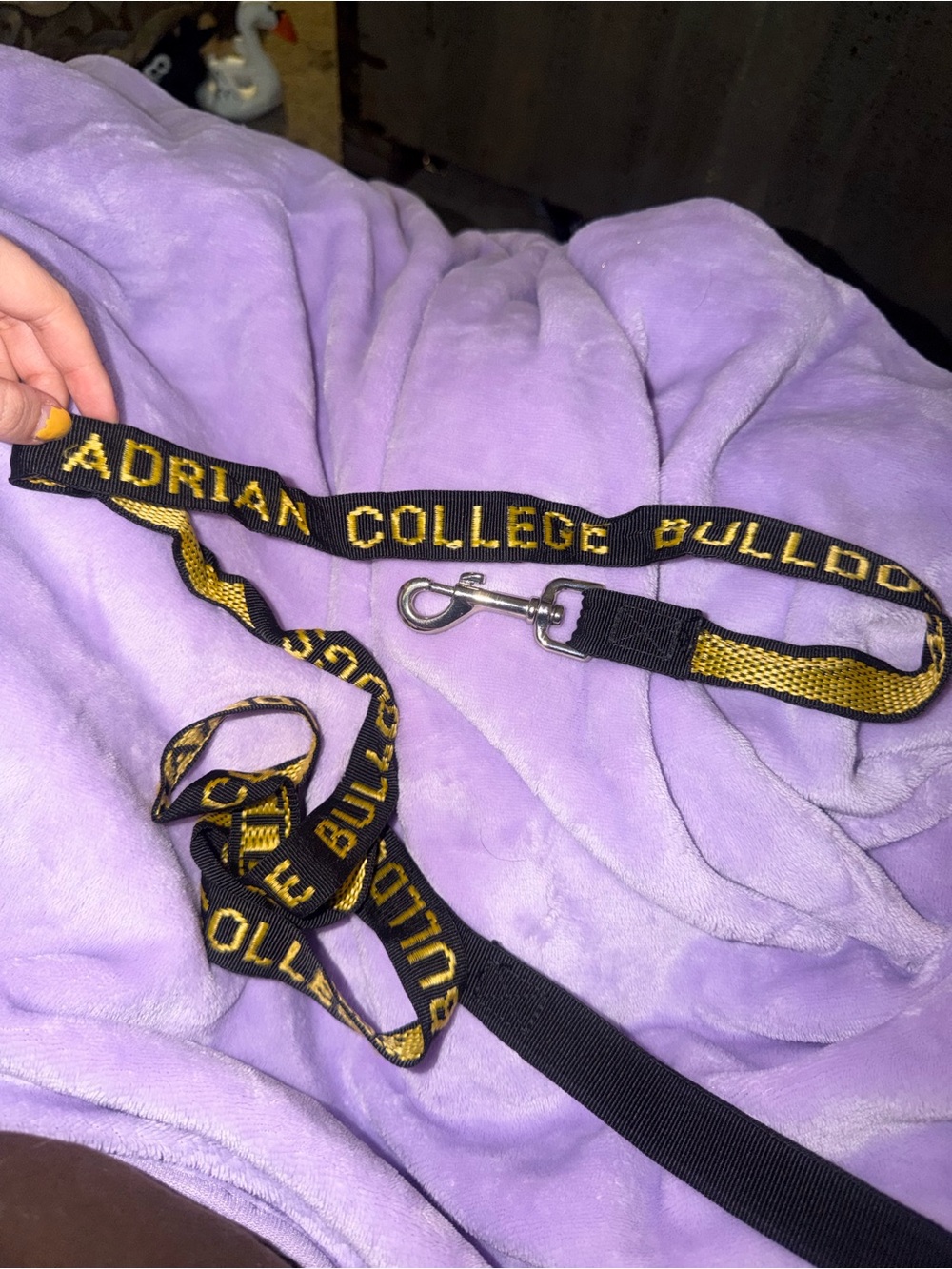 Black and gold Adrian College Bulldogs dog leash